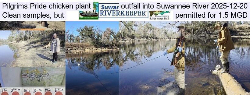 Pilgrims Pride chicken plant outfall into Suwannee River 2025-12-20, Clean samples, but permitted for 1.5 MGD