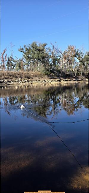 [Bucket in Suwannee River, 2025:12:20 11:58:30, 30.3657478, -83.1915831 --Merrillee Malwitz-Jipson for WWALS]