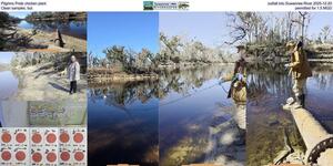 [Pilgrims Pride chicken plant outfall into Suwannee River 2025-12-20, Clean samples, but permitted for 1.5 MGD]