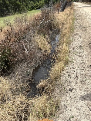 [Road ditch, 2025:07:29 15:01:58]