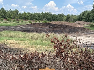 [Field, 2025:07:29 15:01:13]