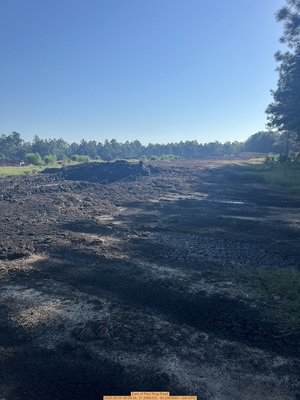 [East of Paul King Road, 2025:09:04 09:09:34, 31.2684333, -83.2453083]