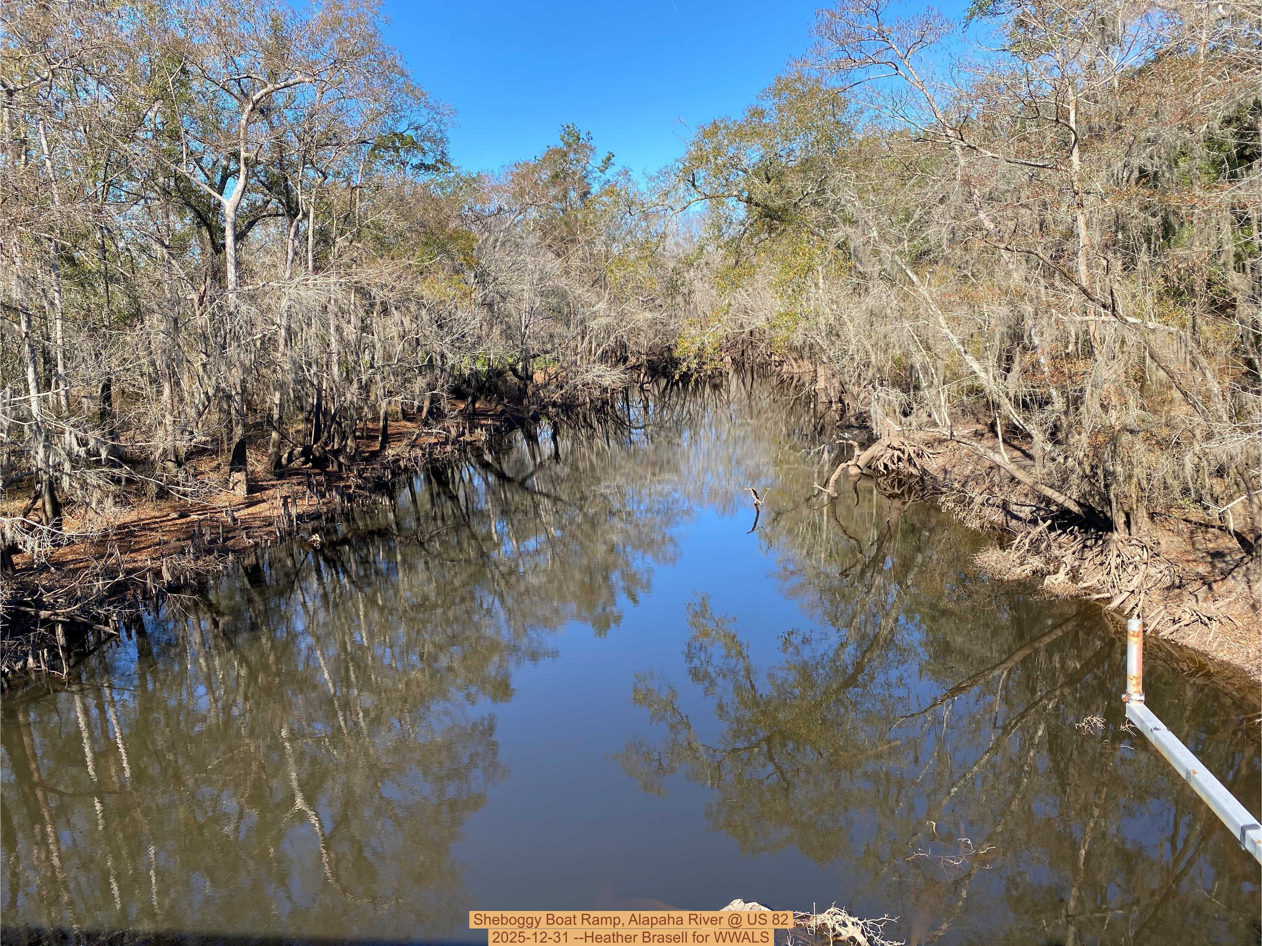 Sheboggy Boat Ramp, Alapaha River @ US 82 2025-12-31 --Heather Brasell for WWALS