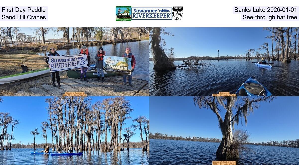 First Day Paddle, Banks Lake 2026-01-01, Sand Hill Cranes, See-through bat tree