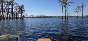 [Lilypads on Banks Lake, 2026-01-01 --jsq for WWALS]