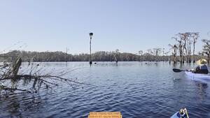 [Movie: Osprey nest (18M), 2026-01-01 --jsq for WWALS]