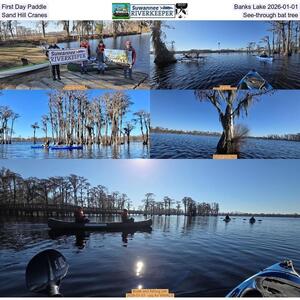 [First Day Paddle, Banks Lake 2026-01-01, Sand Hill Cranes, See-through bat tree]