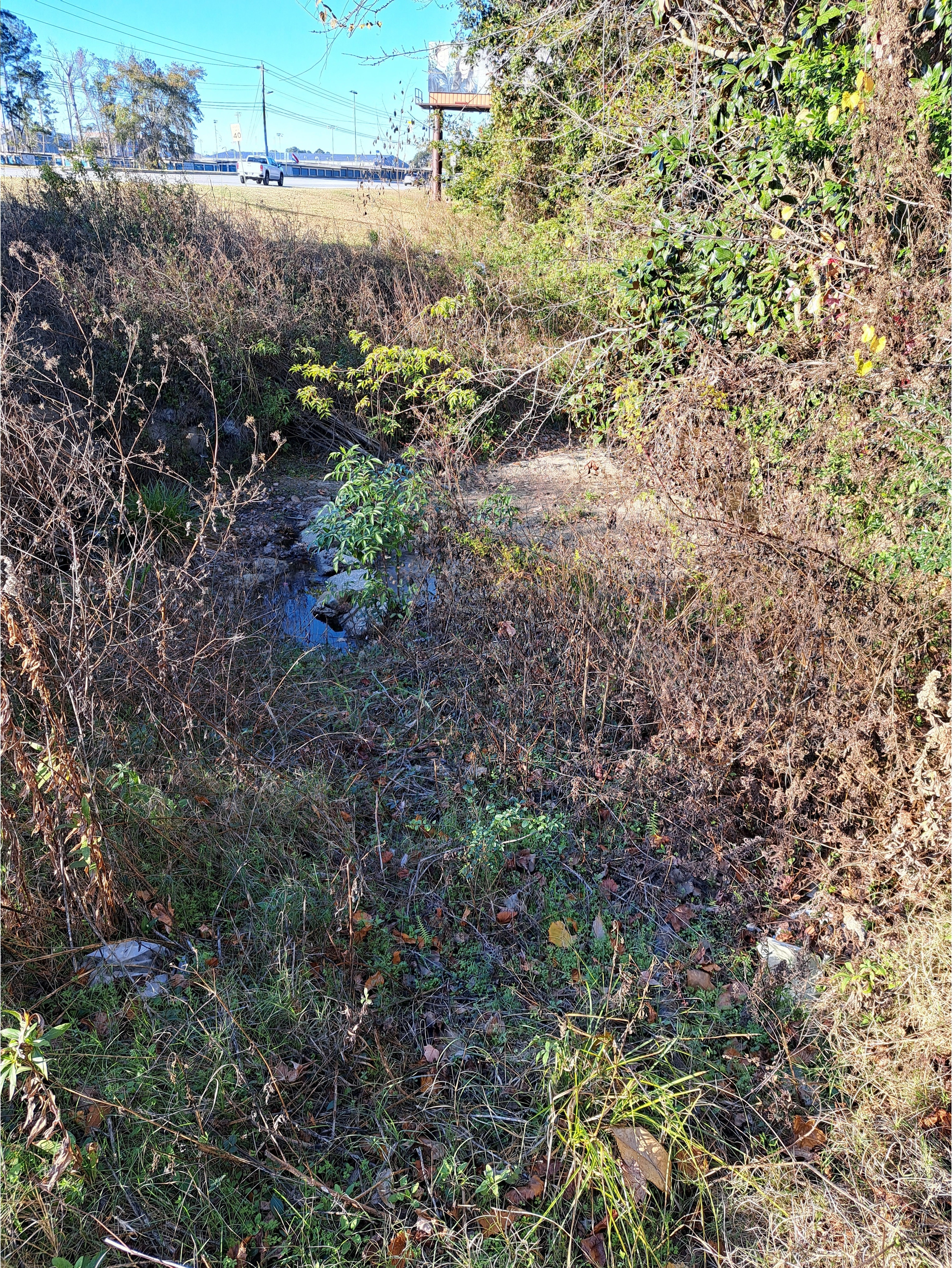 Looking north, Hightower Creek at Norman Drive, Hightower Creek @ Norman Drive 2026-01-01 --Suzy Hall for WWALS