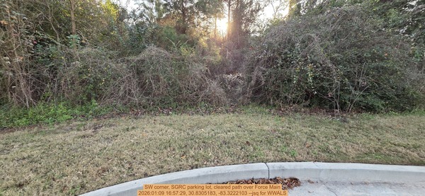 [SW corner, SGRC parking lot, cleared path over Force Main, 2026:01:09 16:57:29, 30.8305183, -83.3222103 --jsq for WWALS]