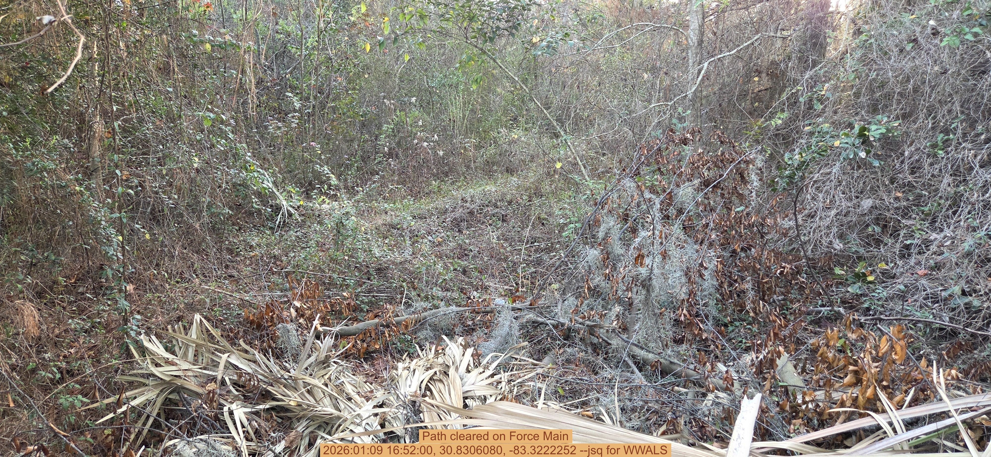 Path cleared on Force Main, 2026:01:09 16:52:00, 30.8306080, -83.3222252 --jsq for WWALS
