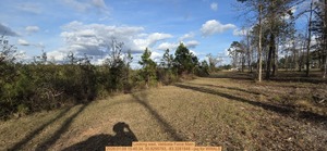 [Looking east, Valdosta Force Main, 2026:01:09 15:45:34, 30.8295793, -83.3281948 --jsq for WWALS]