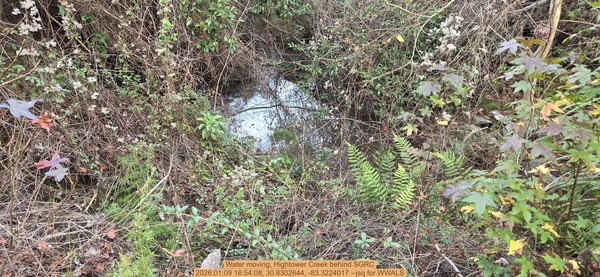 Water moving, Hightower Creek behind SGRC, 2026:01:09 16:54:08, 30.8302644, -83.3224017 --jsq for WWALS