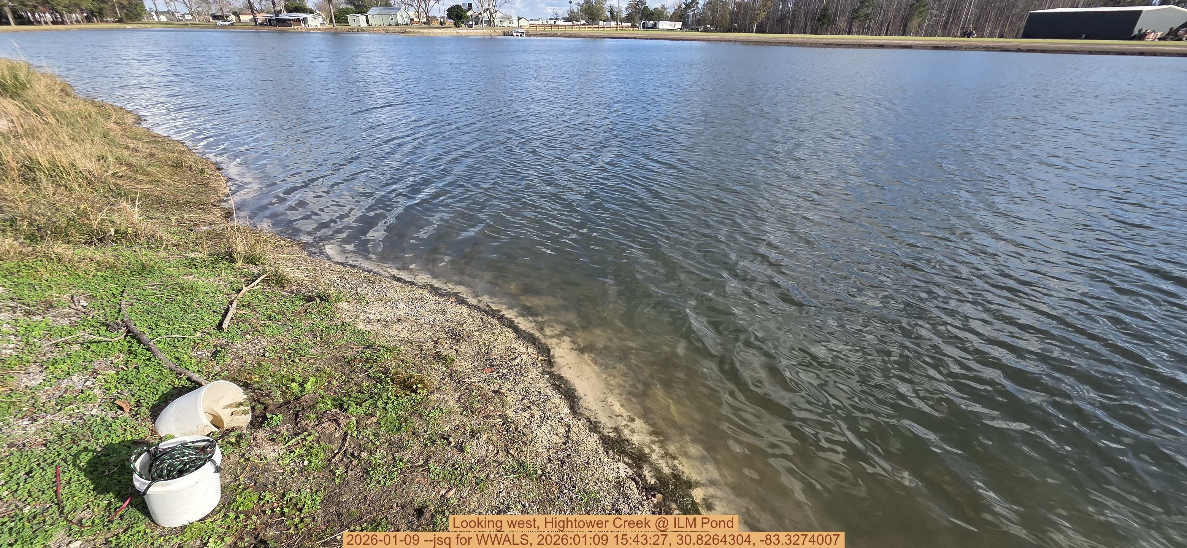 Looking west, Hightower Creek @ ILM Pond, 2026-01-09 --jsq for WWALS, 2026:01:09 15:43:27, 30.8264304, -83.3274007