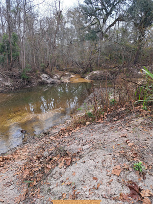 [TMB also, Sugar Creek @ WaterGoat 2026-01-08, 2026:01:08 10:38:18 --Suzy Hall for WWALS]