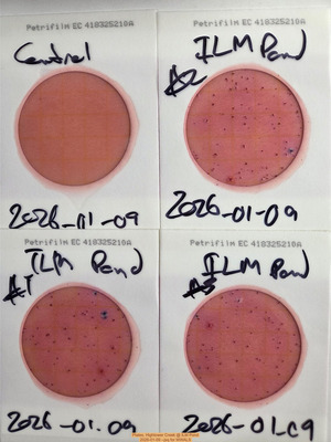 [Plates, Hightower Creek @ ILM Pond, 2026-01-09 --jsq for WWALS]