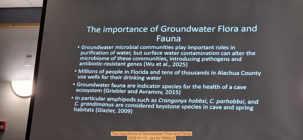 [The importance of Groundwater Flora and Fauna, 2026-01-13 --jsq for WWALS]