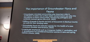 [The importance of Groundwater Flora and Fauna, 2026-01-13 --jsq for WWALS]