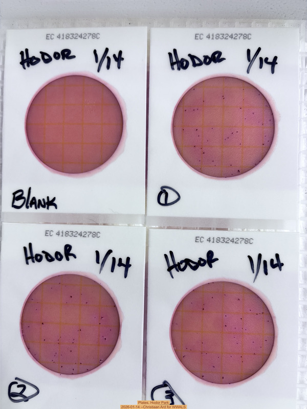 [Plates, Hodor Park 2026-01-14 --Christiaan Ard for WWALS]
