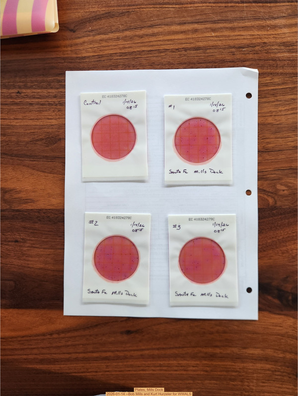 [Plates, Mills Dock 2026-01-14 --Bob Mills and Kurt Hurzeler for WWALS]