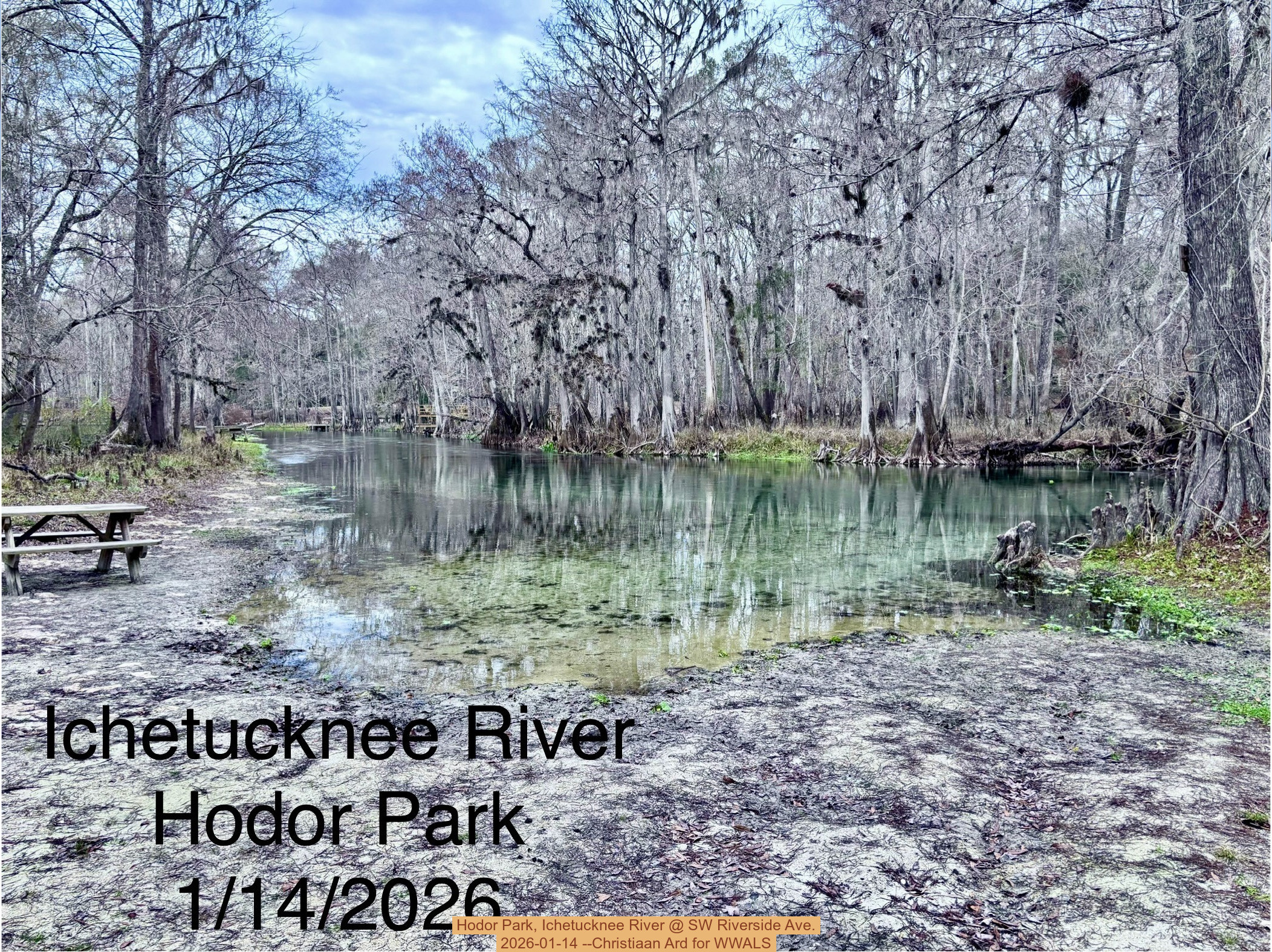 Hodor Park, Ichetucknee River @ SW Riverside Ave. 2026-01-14 --Christiaan Ard for WWALS