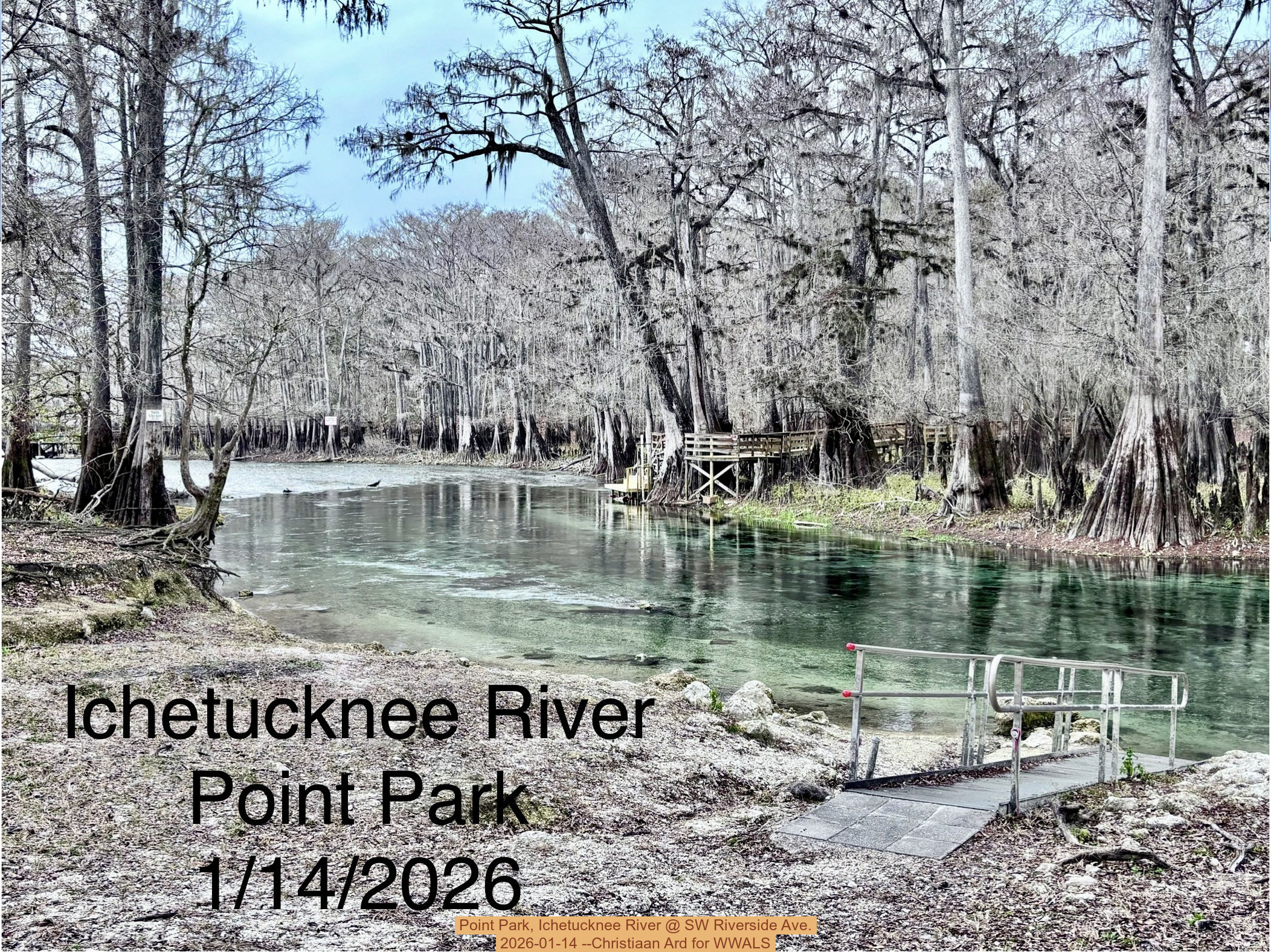 Point Park, Ichetucknee River @ SW Riverside Ave. 2026-01-14 --Christiaan Ard for WWALS