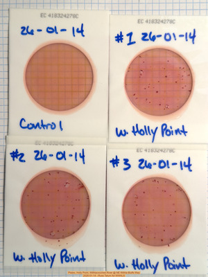 [Plates, Holly Point, Withlacoochee River @ NE Withla Bluffs Way 2026-01-14 --Russ Tatum for WWALS]