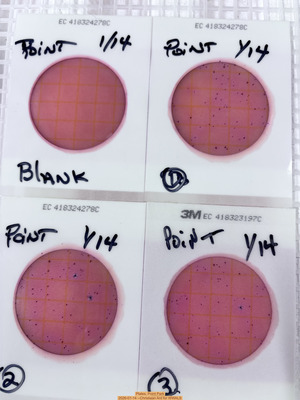 [Plates, Point Park 2026-01-14 --Christiaan Ard for WWALS]