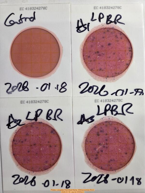 [Plates, Langdale Park Boat Ramp, Withlacoochee River, 2026-01-18 --jsq for WWALS]