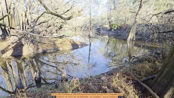 [Movie: CC Creek Confluence with Withlacoochee River across from Langdale Park, 2026:01:18 16:27:46, 30.8884486, -83.3246801 --jsq for WWALS]