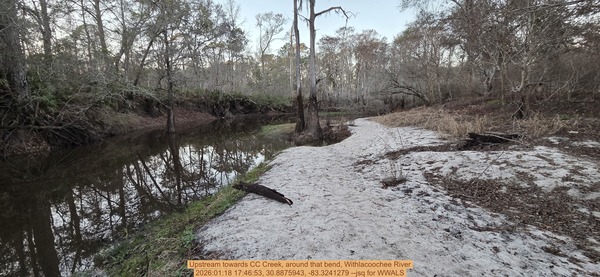 [Upstream towards CC Creek, around that bend, Withlacoochee River, 2026:01:18 17:46:53, 30.8875943, -83.3241279 --jsq for WWALS]