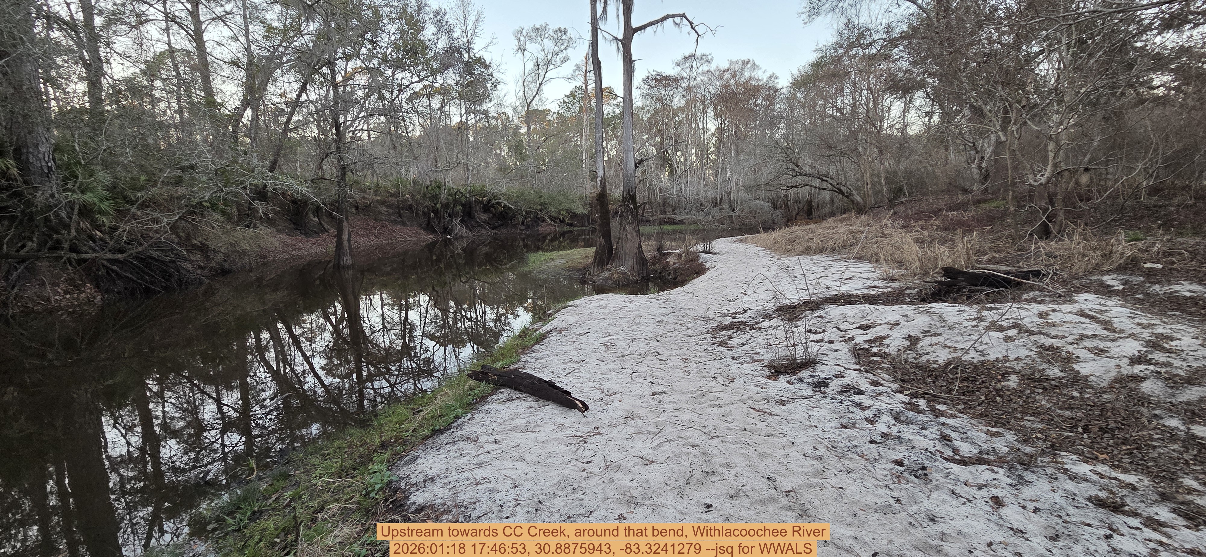 Upstream towards CC Creek, around that bend, Withlacoochee River, 2026:01:18 17:46:53, 30.8875943, -83.3241279 --jsq for WWALS