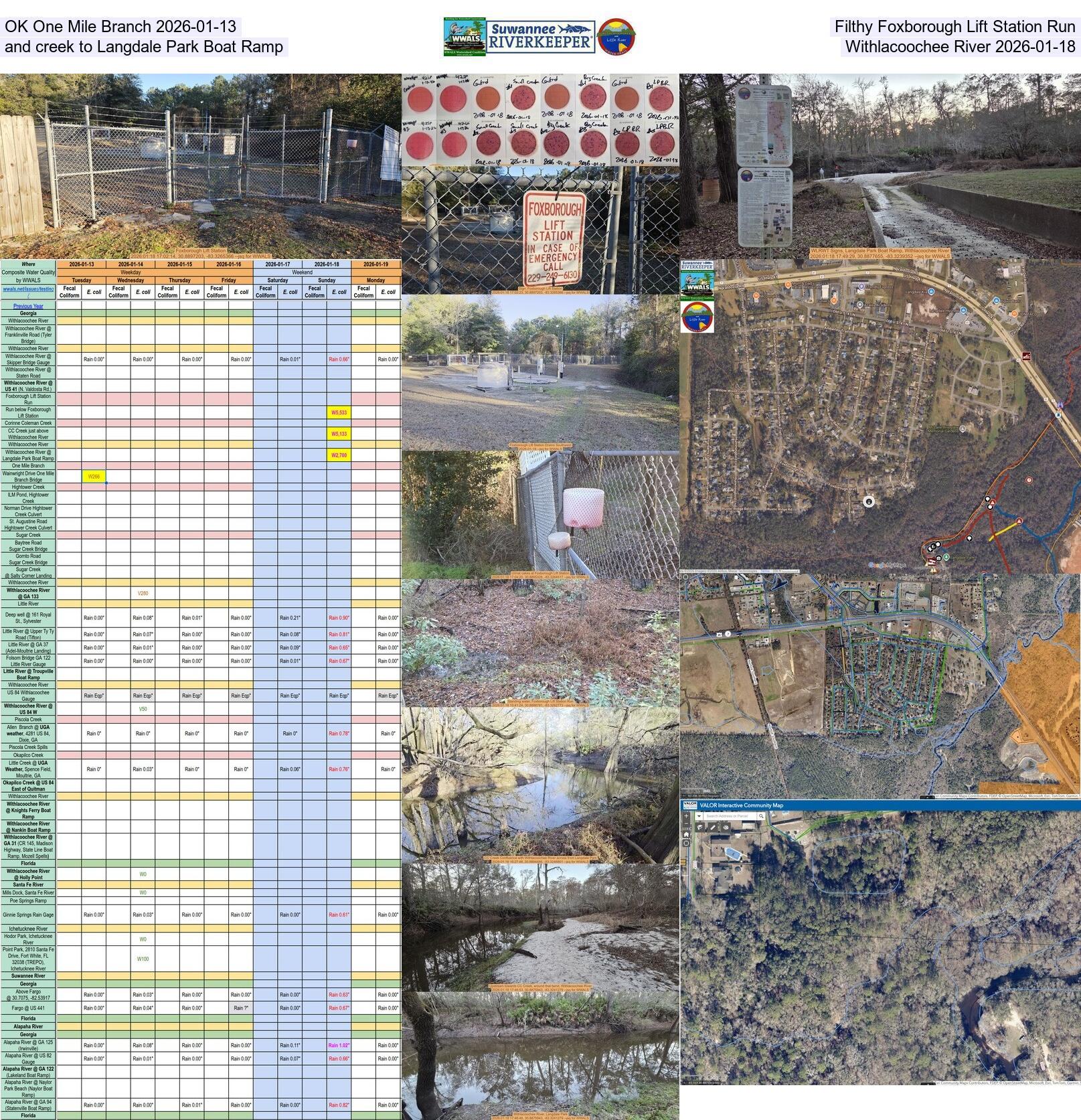 OK One Mile Branch 2026-01-13, Filthy Foxborough Lift Station Run and creek to Langdale Park Boat Ramp, Withlacoochee River 2026-01-18