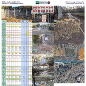 [OK One Mile Branch 2026-01-13, Filthy Foxborough Lift Station Run and creek to Langdale Park Boat Ramp, Withlacoochee River 2026-01-18]
