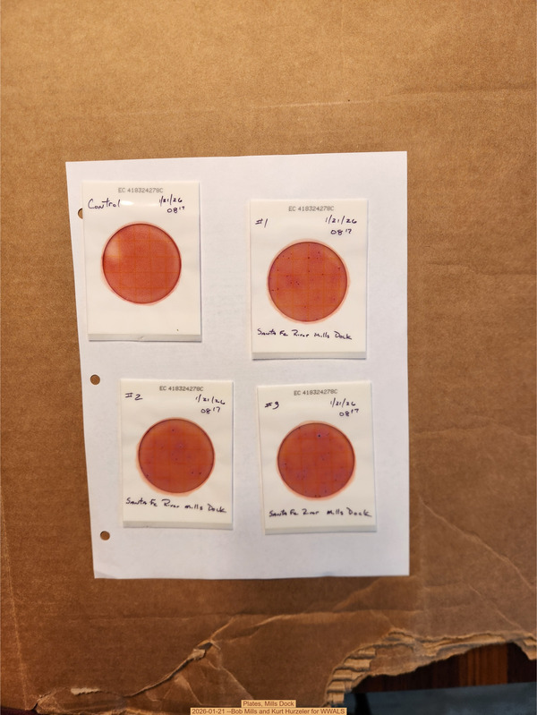 [Plates, Mills Dock 2026-01-21 --Bob Mills and Kurt Hurzeler for WWALS]