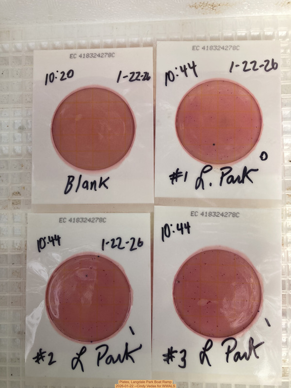 [Plates, Langdale Park Boat Ramp 2026-01-22 --Cindy Vedas for WWALS]