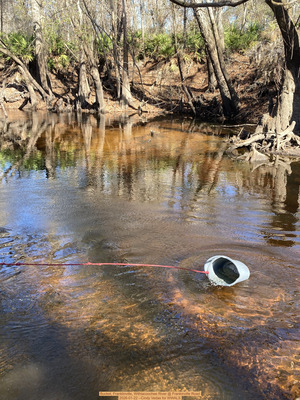 [Bucket, Franklinville, Withlacoochee River @ Frankinville Road 2026-01-22 --Cindy Vedas for WWALS]