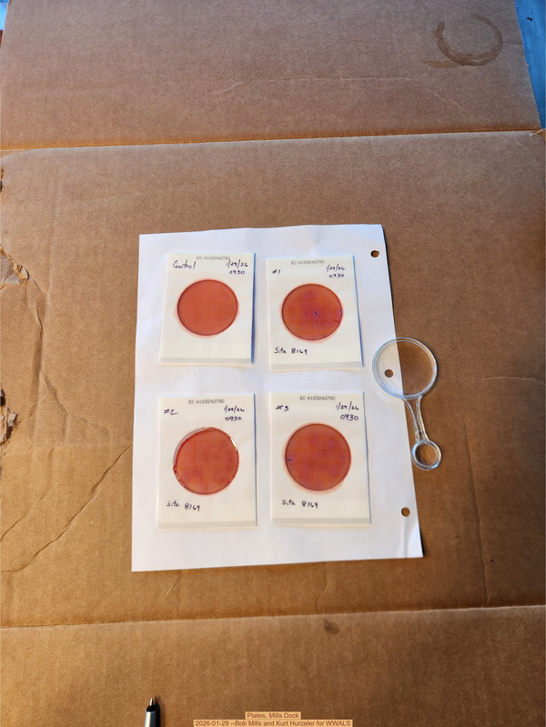 Plates, Mills Dock 2026-01-29 --Bob Mills and Kurt Hurzeler for WWALS