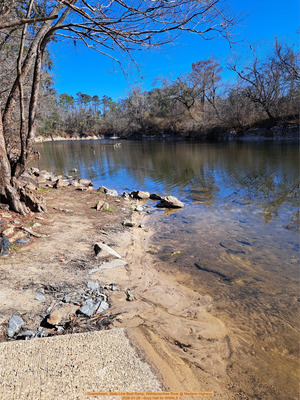 [Downstream, State Line Boat Ramp, Withlacoochee River @ Madison Highway 2026-01-28 --Suzy Hall for WWALS]