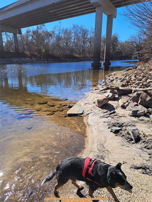 [Horn Bridge, State Line Boat Ramp, Withlacoochee River @ Madison Highway 2026-01-28 --Suzy Hall for WWALS]