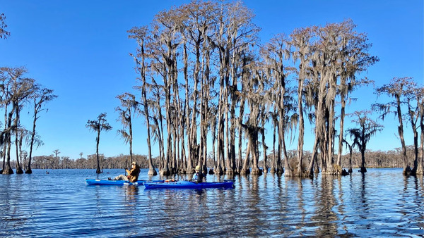 [jsq and Shirley, 2026-01-01 --Gretchen Quarterman for WWALS]