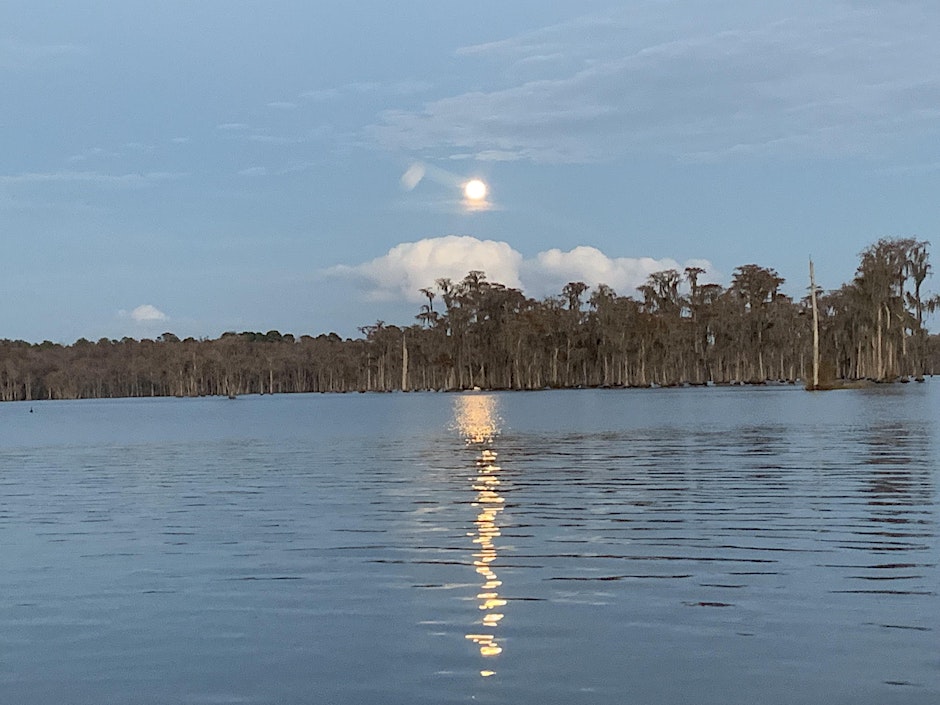 Full moon in daylight --Shirley Kokidko for WWALS