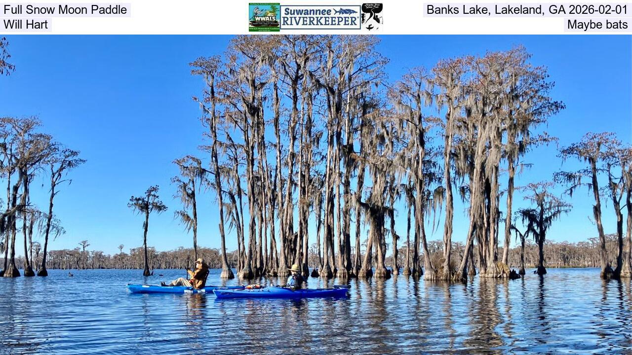 Full Snow Moon Paddle, Banks Lake, Lakeland, GA 2026-02-01, Will Hart, Maybe bats