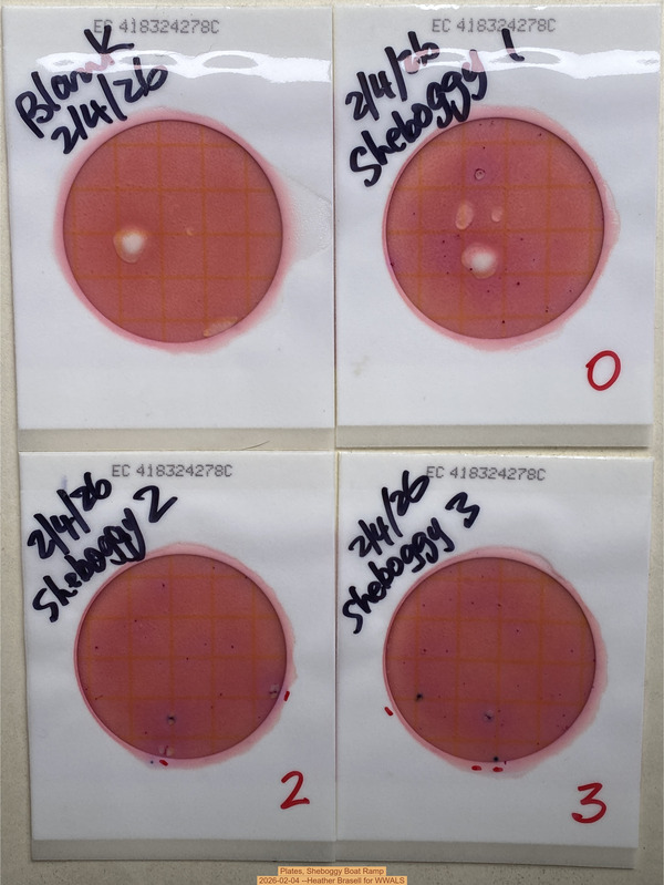 Plates, Sheboggy Boat Ramp 2026-02-04 --Heather Brasell for WWALS