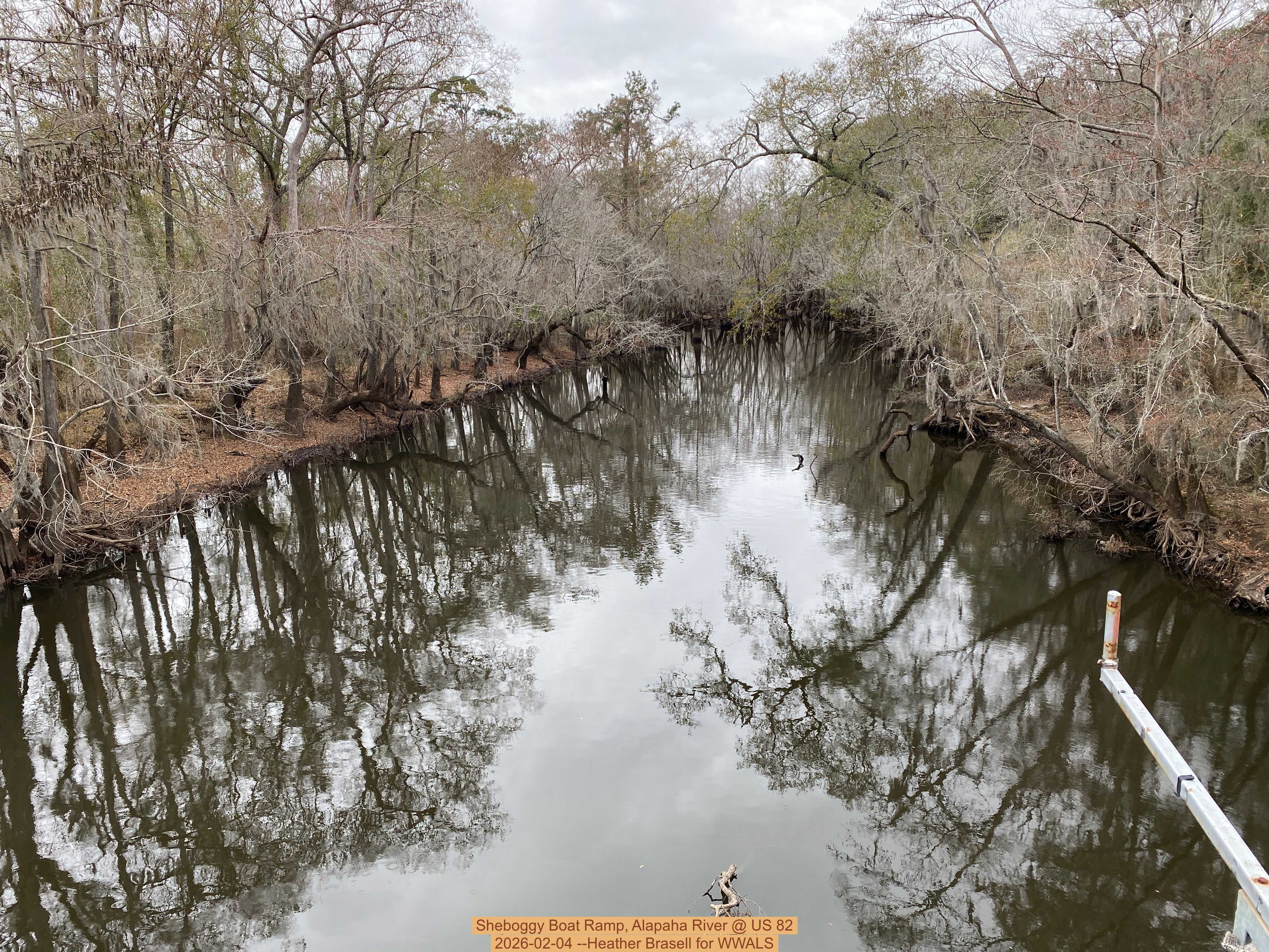 Sheboggy Boat Ramp, Alapaha River @ US 82 2026-02-04 --Heather Brasell for WWALS