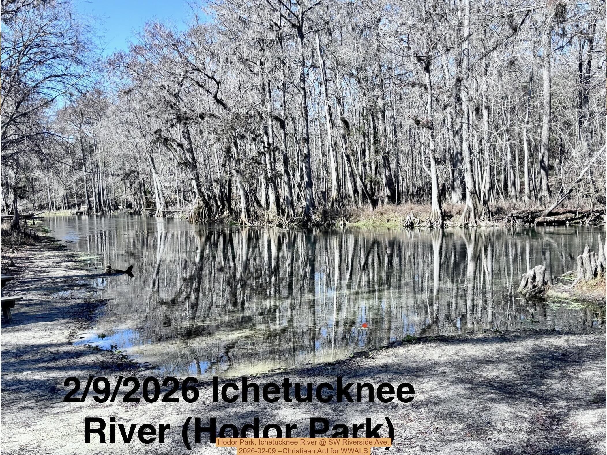 Hodor Park, Ichetucknee River @ SW Riverside Ave. 2026-02-09 --Christiaan Ard for WWALS