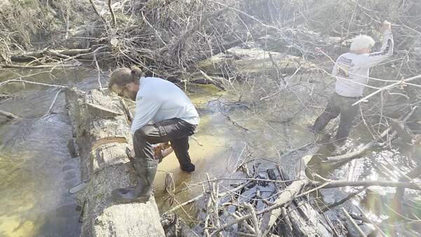 [Movie: A second cut, 2026:02:14 15:16:36, 30.8638681, -83.3209743 (4.4M)]