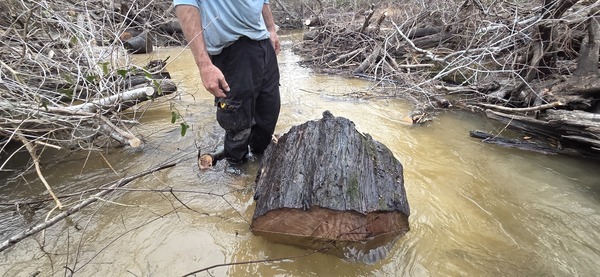 The big log loose, 2026:02:14 16:54:43, 30.8638270, -83.3210404