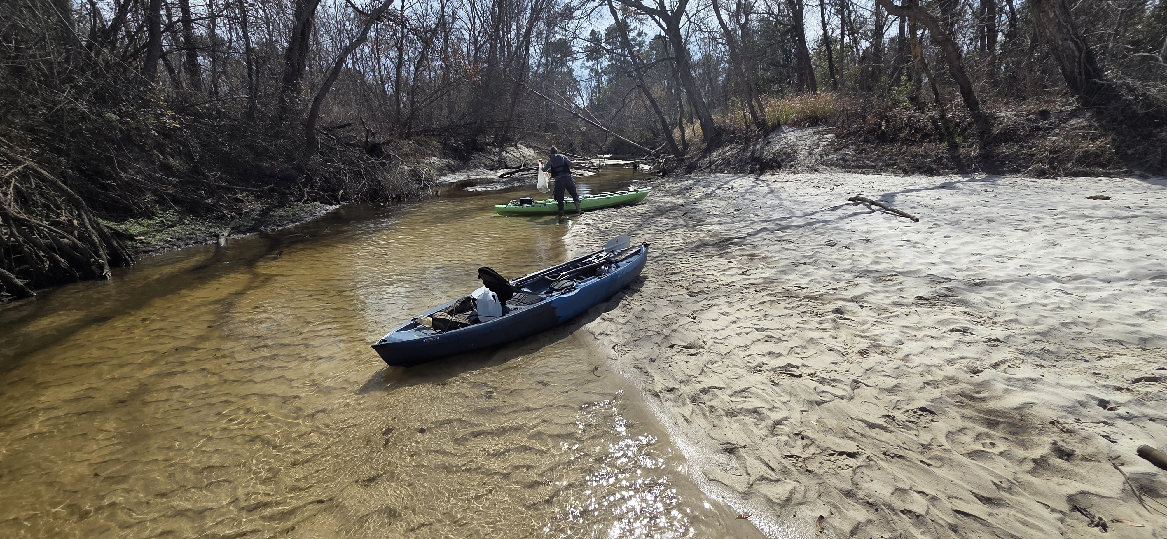 Tish Hall collecting trash, 2026:02:14 13:02:36, 30.8633652, -83.3188649