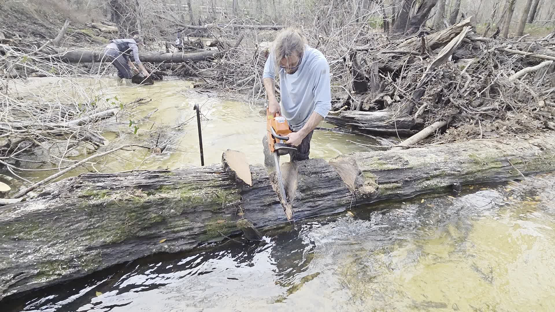 Movie: Tish moving a log, 2026:02:14 15:39:33, 30.8638855, -83.3210195 (3.2M)