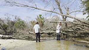 [Movie: Phil Hubbard sawing up, 2026:02:14 12:56:14, 30.8633830, -83.3189377 (13M)]